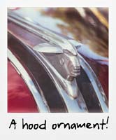 A hood ornament! A hood ornament!