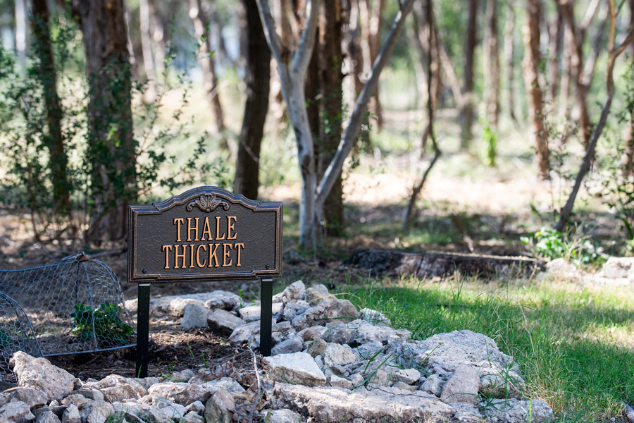 Sign and trees photo