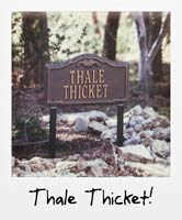 Thale Thicket! Thale Thicket!