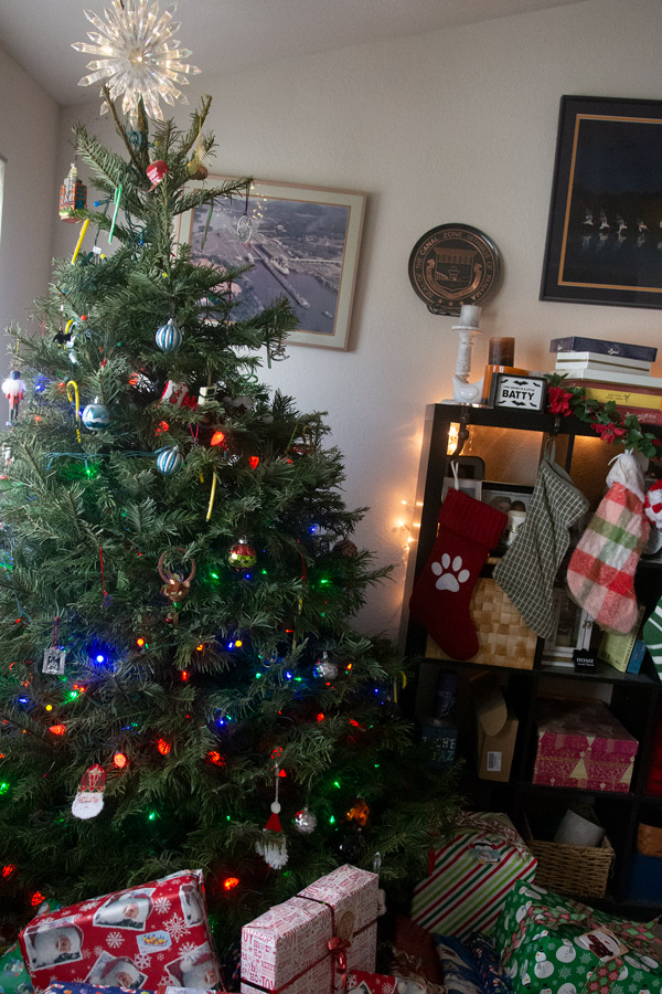 Christmas tree photo