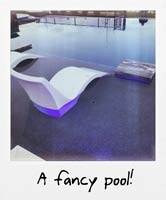 A fancy pool! A fancy pool!