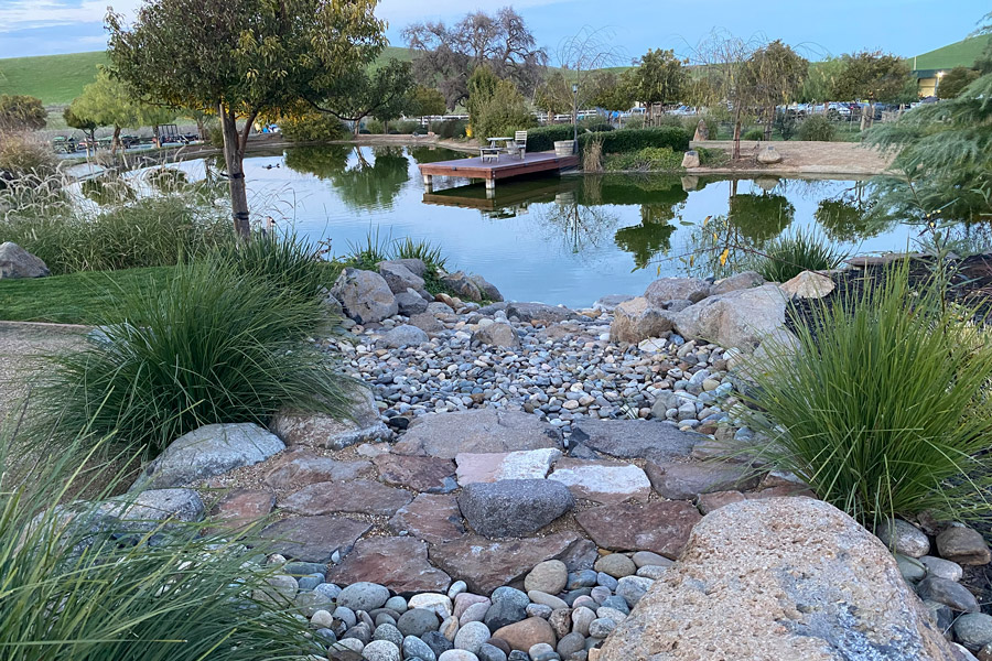 Pond photo