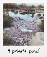 A private pond! A private pond!