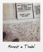 Almost a Thale! Almost a Thale!