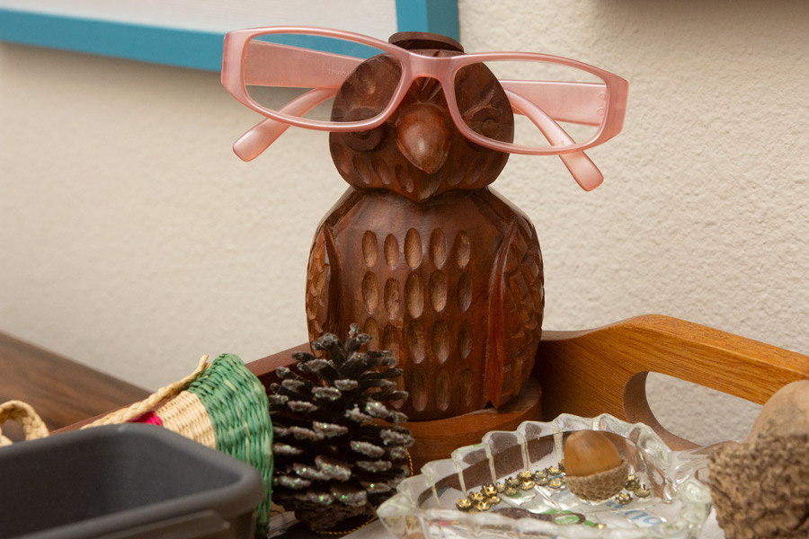 Bird with glasses photo.