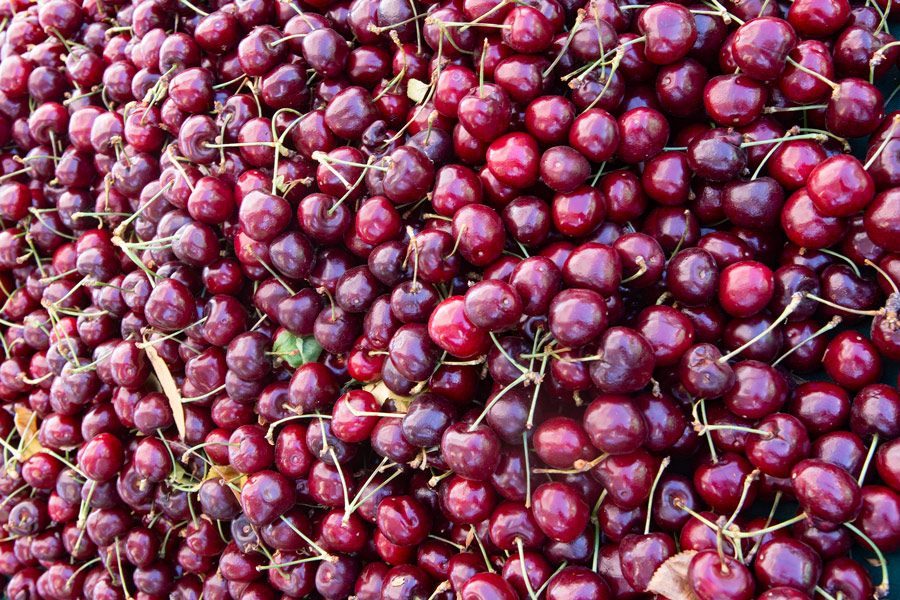 Cherries!