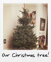 Our Christmas tree! Our Christmas tree!