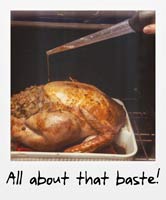 Today's Action Photo