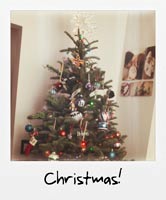 Christmas! Christmas!