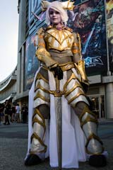 A Draenai Paladin! A Draenai Paladin!