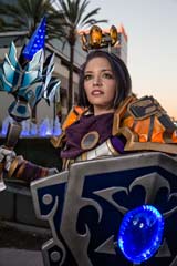 An Orange and Blue Paladin! An Orange and Blue Paladin!