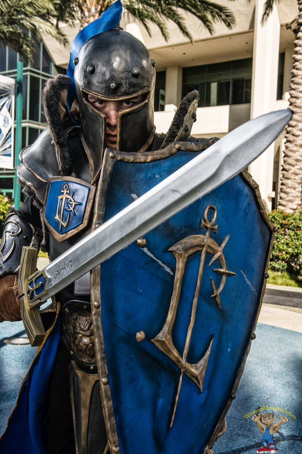 A picture of Warcraft 3 Knight cosplay at BlizzCon 2015 taken by Batty!