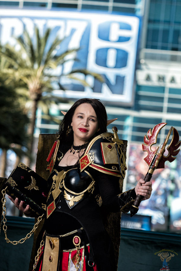 A picture of a Blood Elf Paladin cosplay at BlizzCon 2015 taken by Batty!