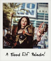 A Blood Elf Paladin!
