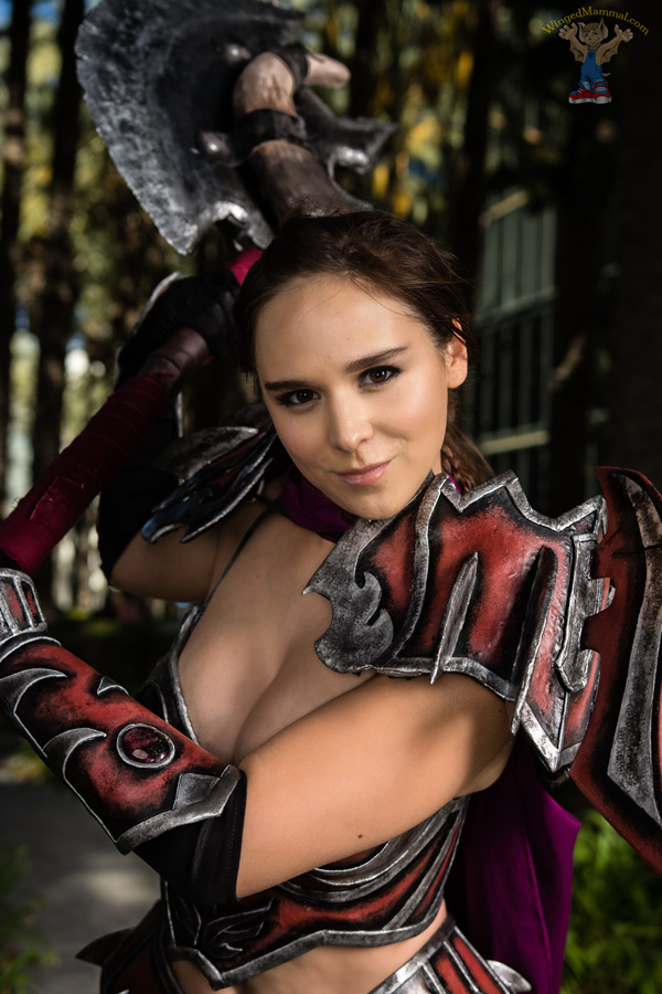A picture of a female warrior cosplay at BlizzCon 2015 taken by Batty!