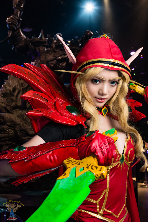 A picture of Valeera Sanguinar cosplay at BlizzCon 2015 taken by Batty!