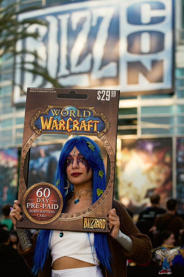 A picture of a WoW game card cosplay at BlizzCon 2015 taken by Batty!