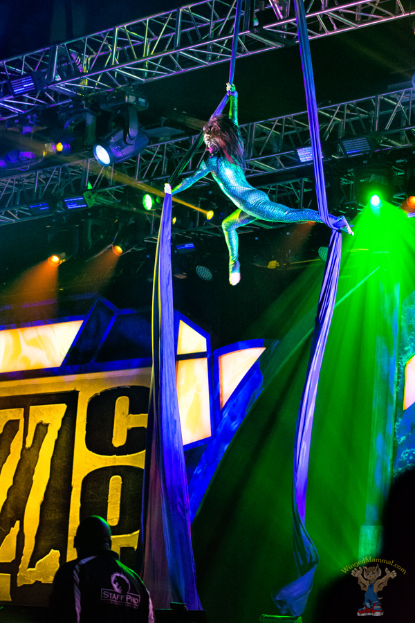 A picture of an Ysera cosplay at BlizzCon 2015 taken by Batty!