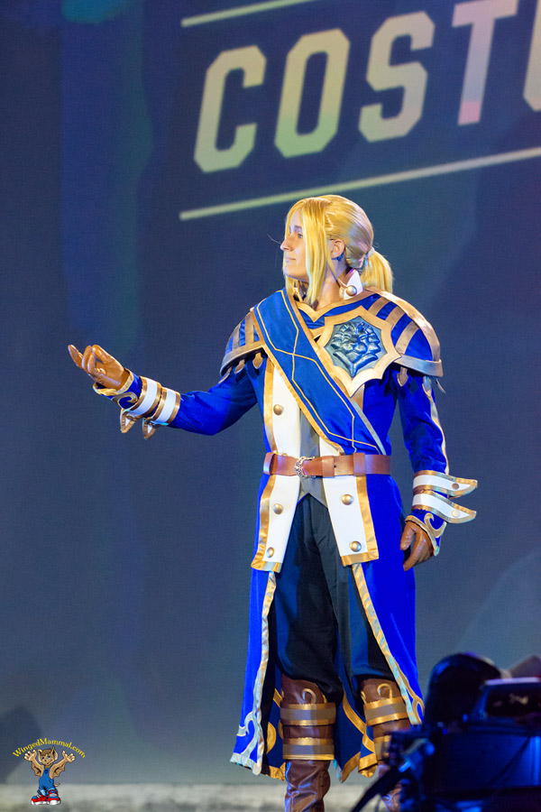 A picture of an adult Anduin Wrynn cosplay at BlizzCon 2015 taken by Batty!