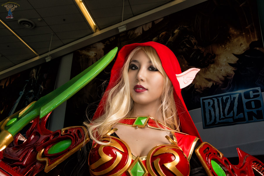 A picture of Valeera Sanguinar cosplay at BlizzCon 2015 taken by Batty!