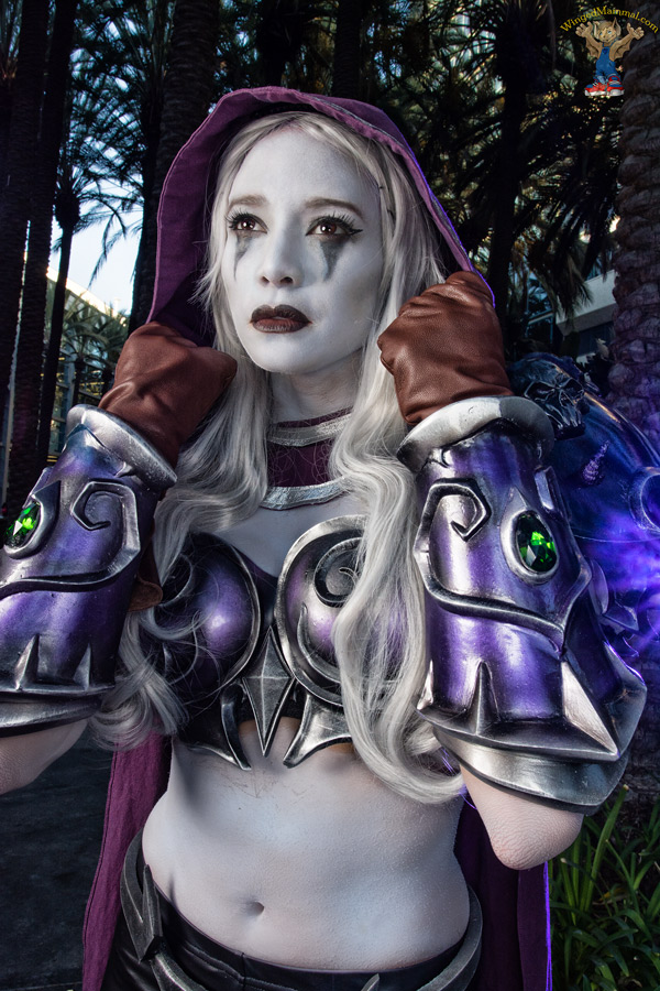 A picture of Sylvanas Windrunner cosplay at BlizzCon 2015 taken by Batty!
