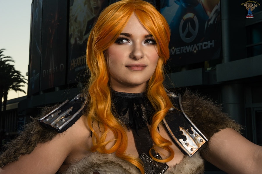 A picture of female barbarian cosplay at BlizzCon 2015 taken by Batty!