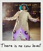 There is no cow level!