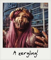 A Zergling!
