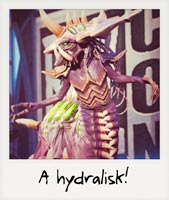 A hydralisk!