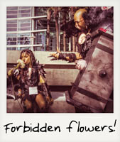 Forbidden Flowers!