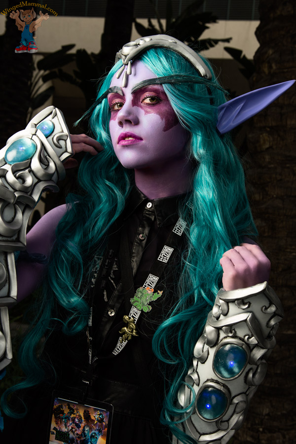 A picture of Tyrande Whisperwind cosplay at BlizzCon 2017 taken by Batty!