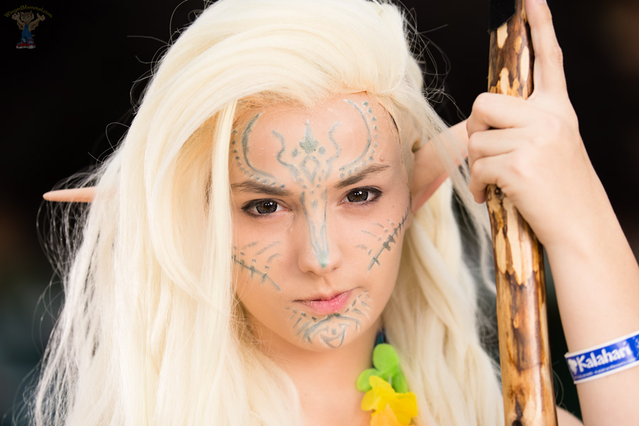 Dragon Age cosplay at Colossalcon 2016!
