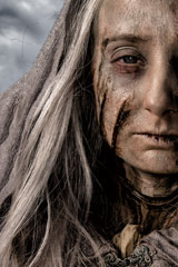Lady Stoneheart! Lady Stoneheart!
