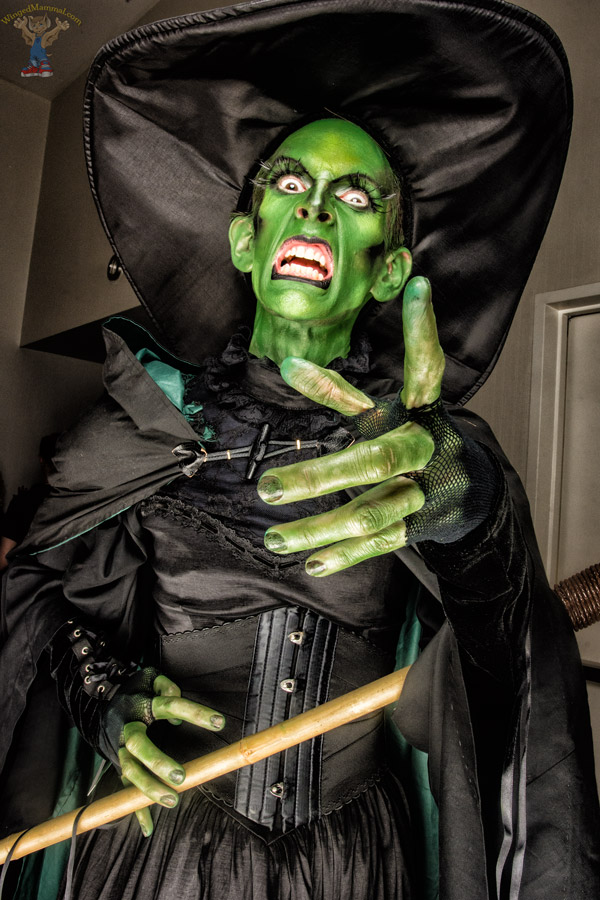 A picture of Wicked Witch cosplay at Dragon Con 2016 taken by Batty!