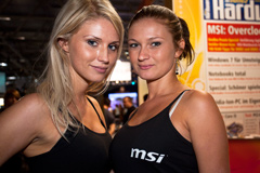 MSI babes!