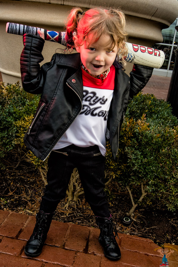 A picture of Harley Quinn cosplay at Katsucon 2018 taken by Batty!