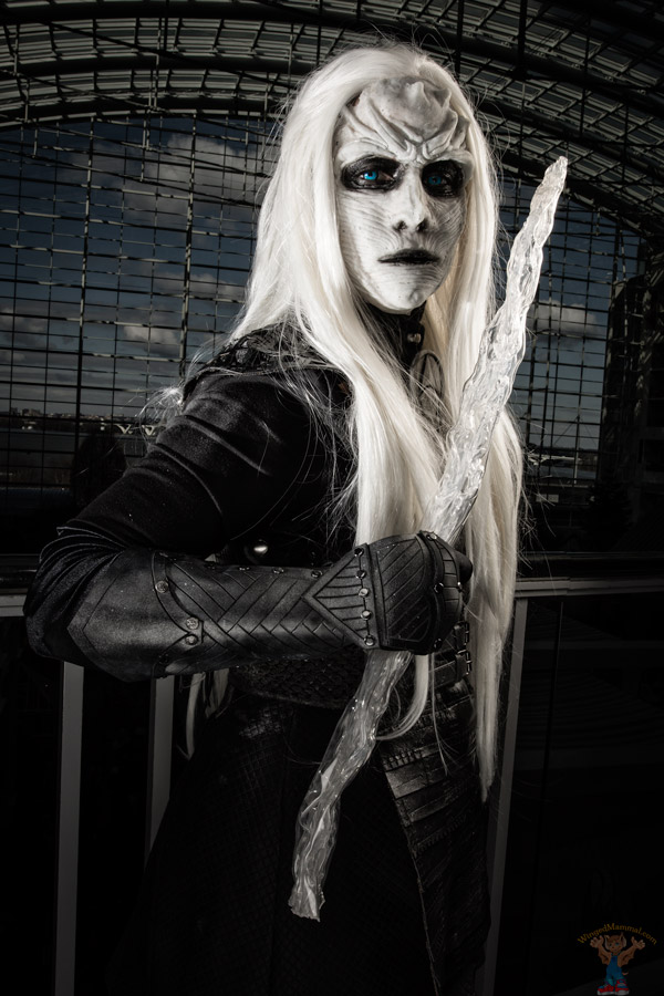 A picture of Night King cosplay at Katsucon 2018 taken by Batty!