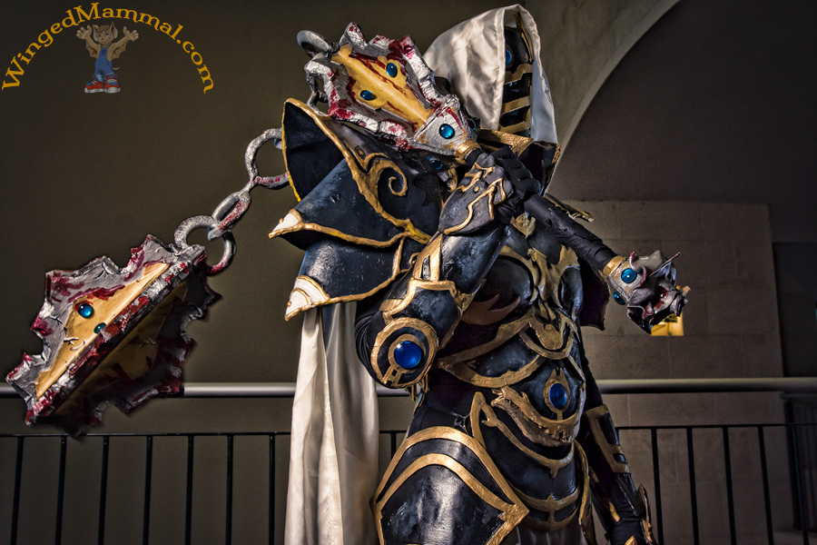 A picture of a Crusader cosplay from Diablo 3 at PAX South 2015!